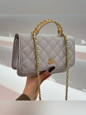 CC silver soft purse